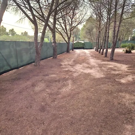 Casa Indipendente La Pineta *