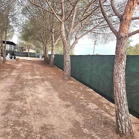 Casa Indipendente La Pineta Dom wakacyjny *